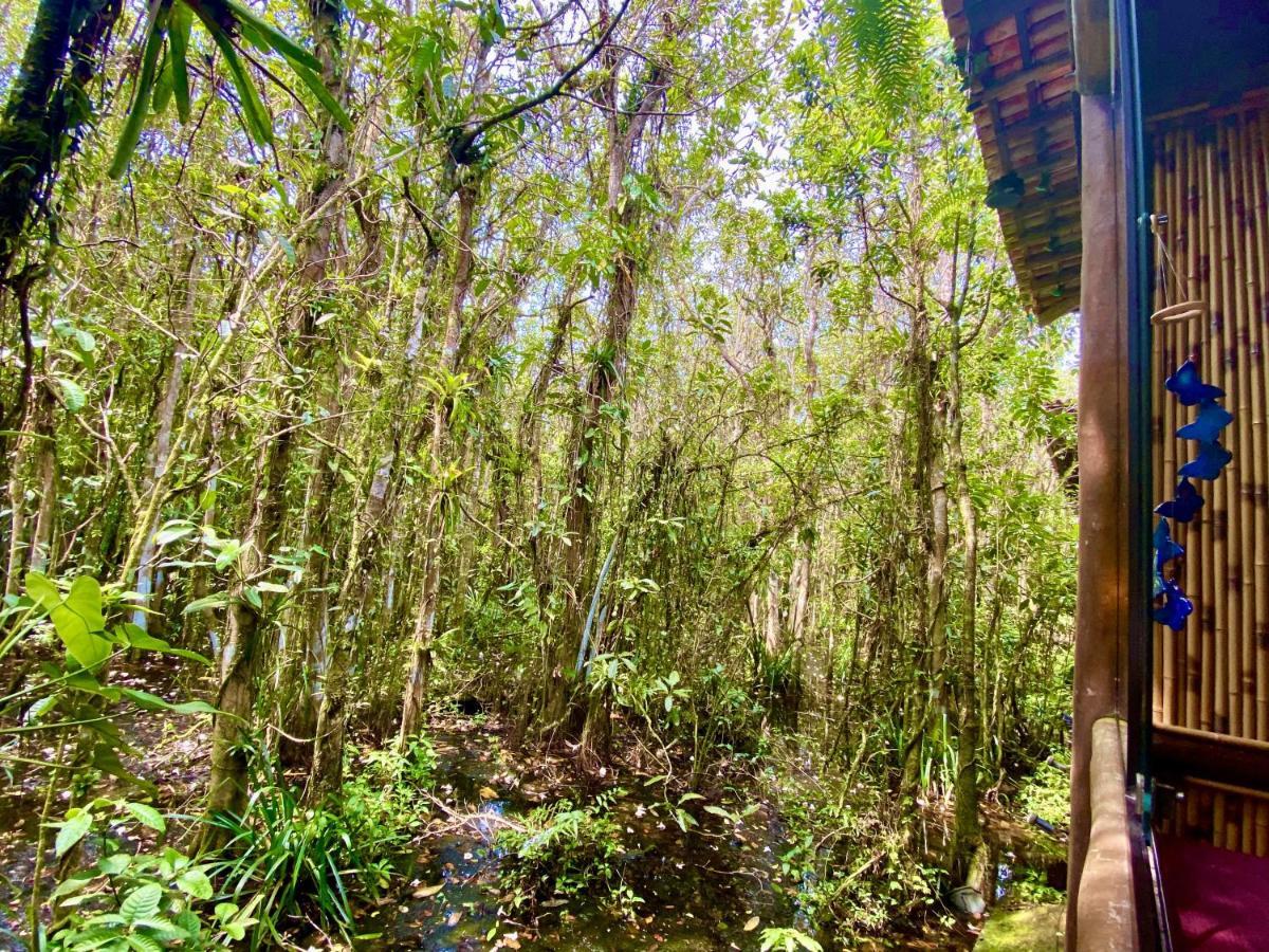 Maresias, Chale H29 Em Condominio De Frente A Entrada 18 Da Praia E Dentro Da Mata Atlantica Sao Sebastiao  Dış mekan fotoğraf
